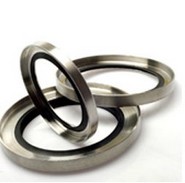 RotaryShaftSeals.jpg